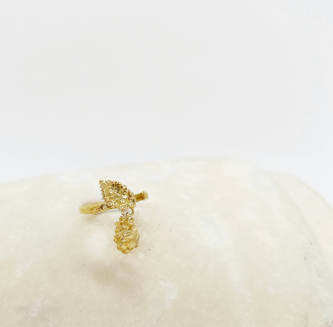 Bague Lupsis - archive