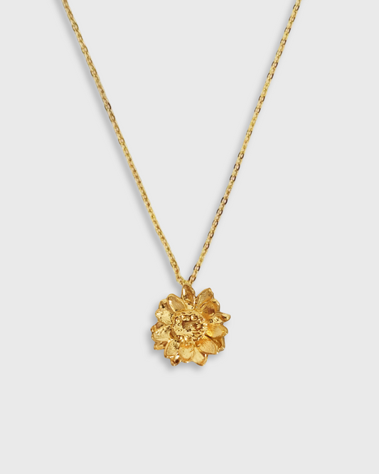 Collier Oydes - archive