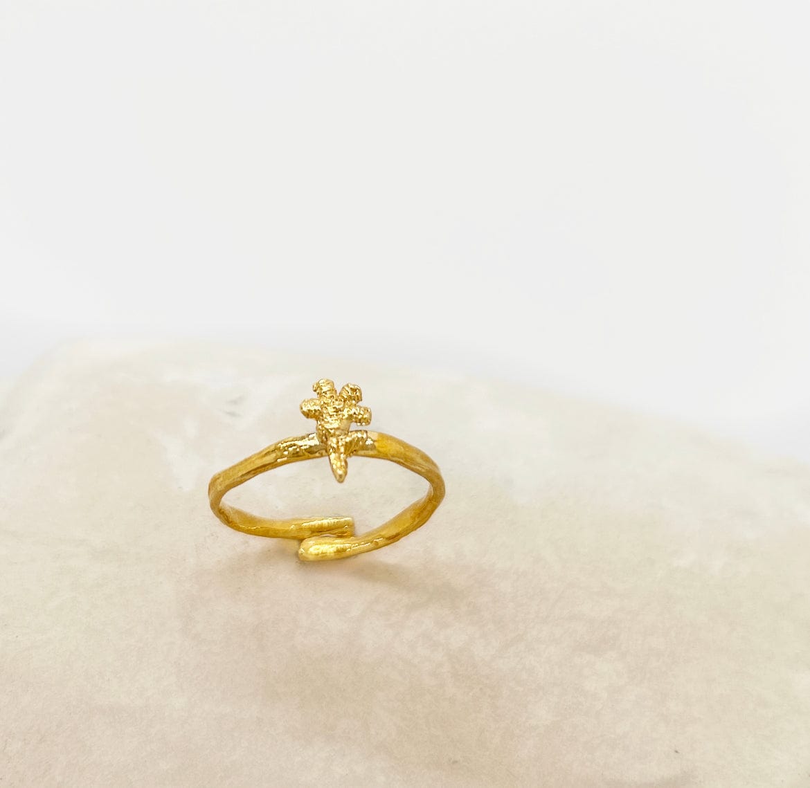 Elise Tsikis Paris Bague Anis - archive