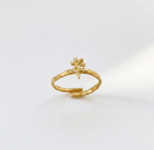 Elise Tsikis Paris Bague Anis - archive