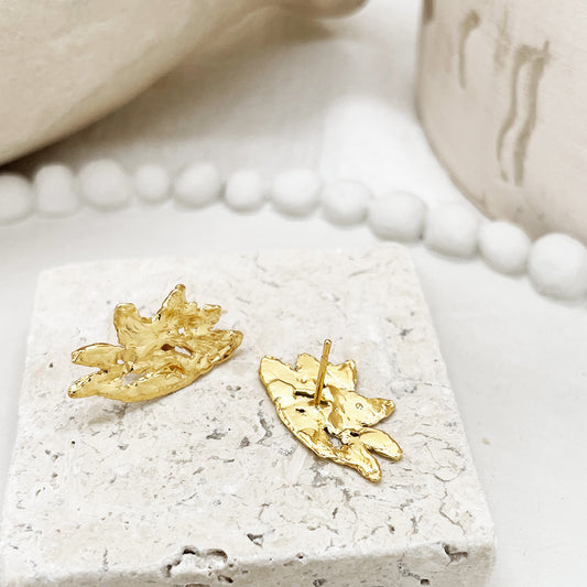 Pollenia small earrings - archive