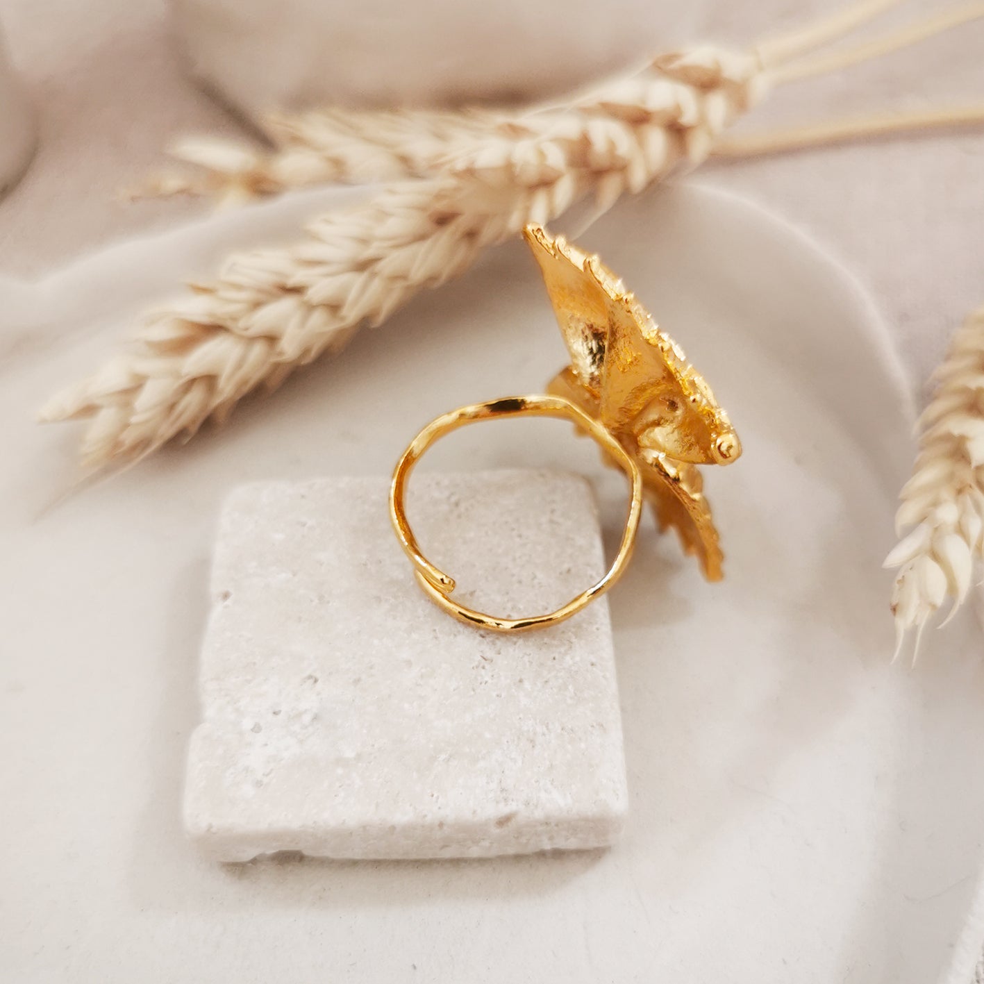 Bague Sanita