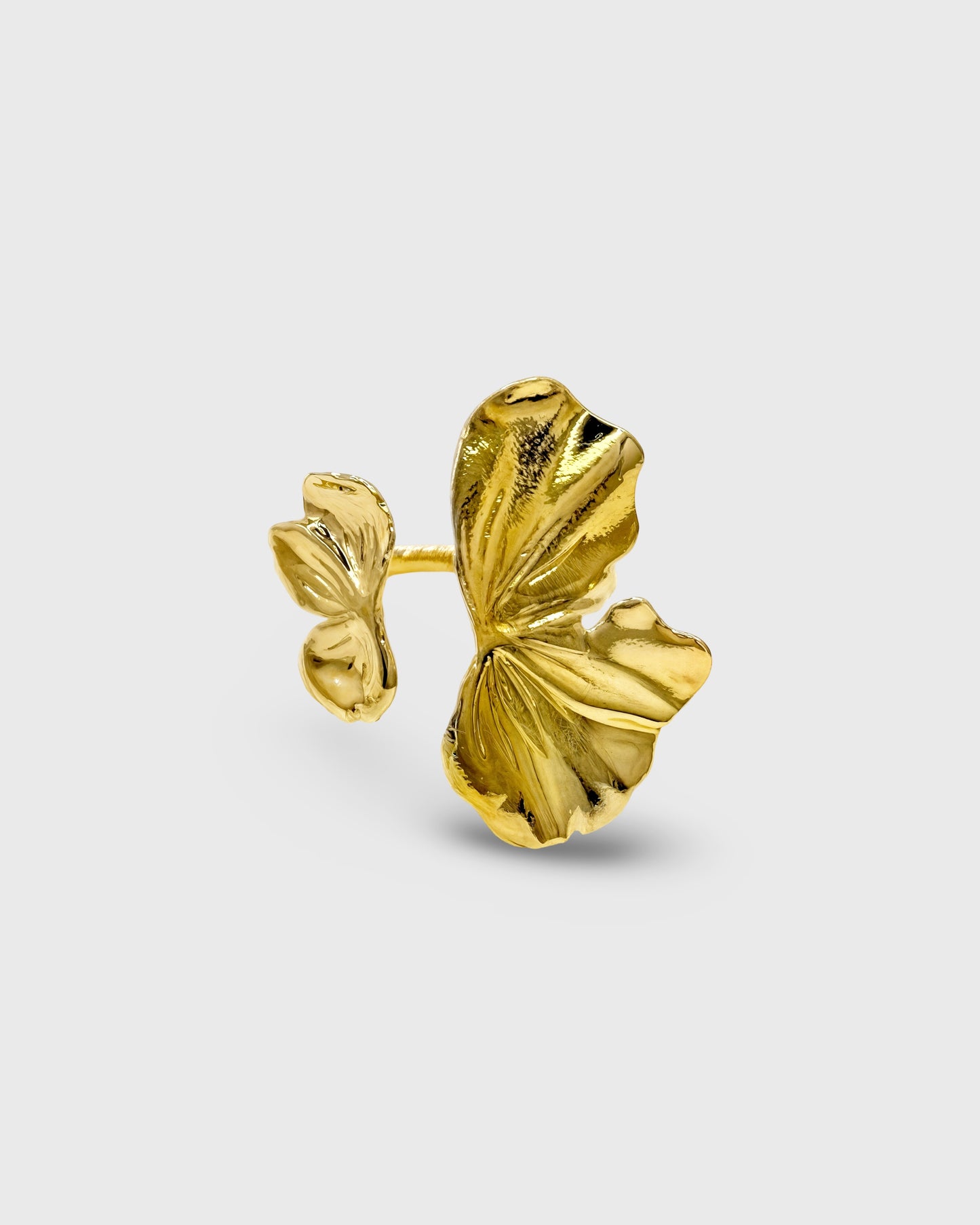Bague Dysis