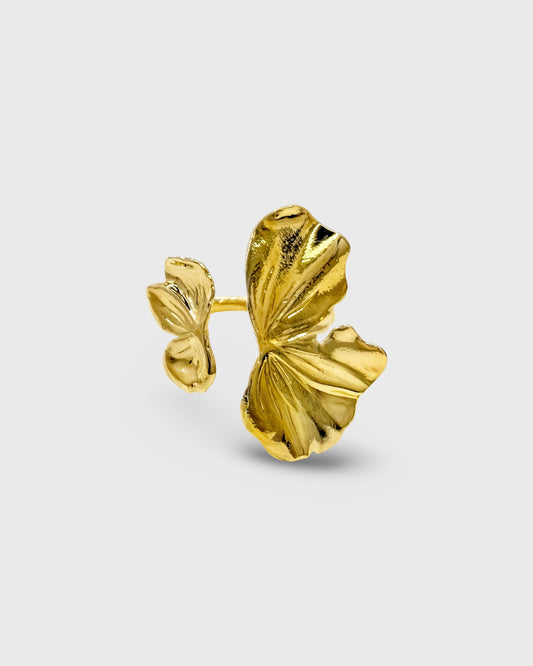 Bague Dysis