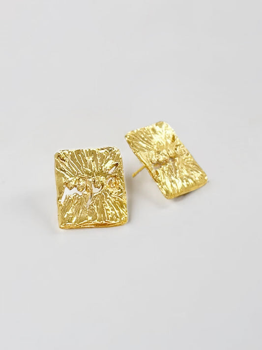 Boucles d'oreilles Xapa