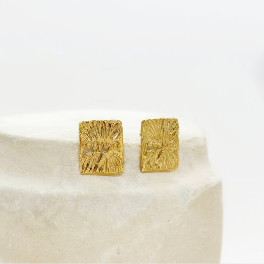 Boucles d'oreilles Xapa