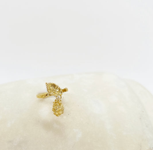 Bague Lupsis - archive