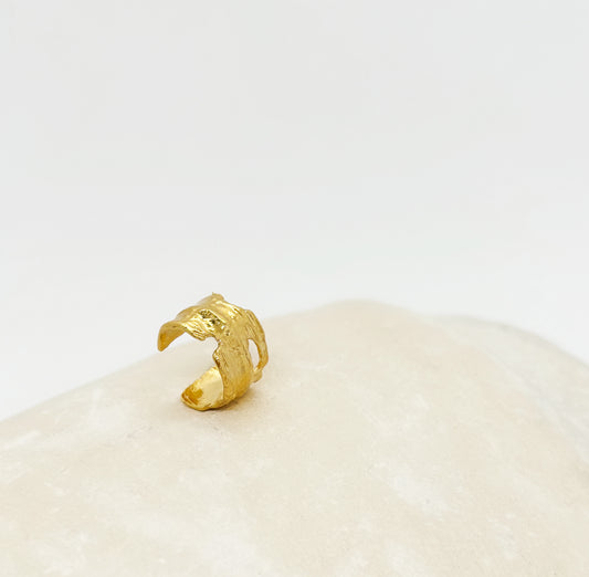 Earcuff Peni