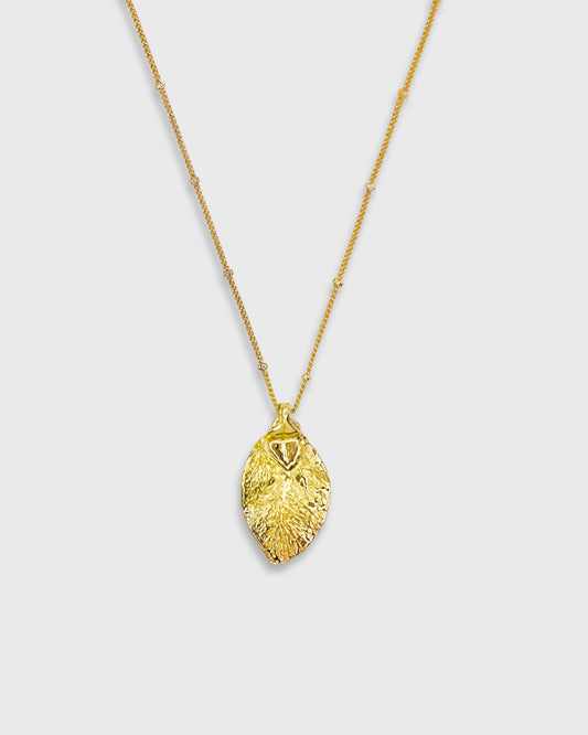 Collier Kiato - archive