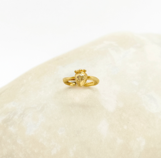 Bague Phlomis - archive