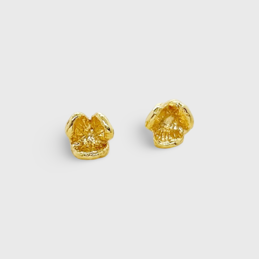 Boucles d'oreilles Tis