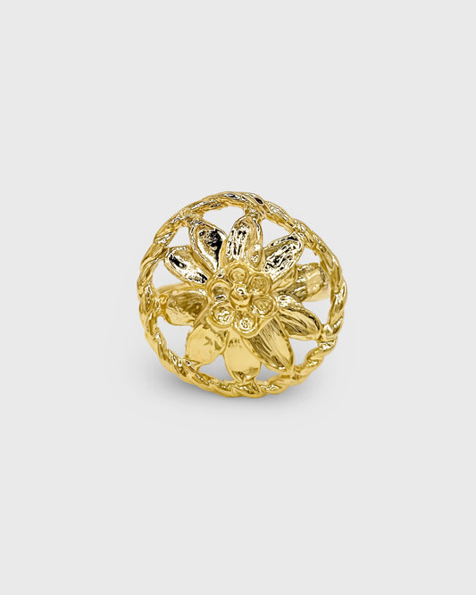 Bague Pesa - archive