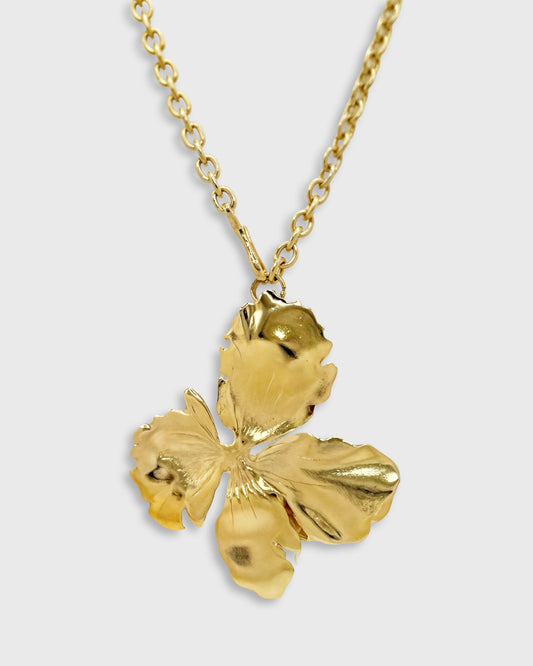Collier Molyvos