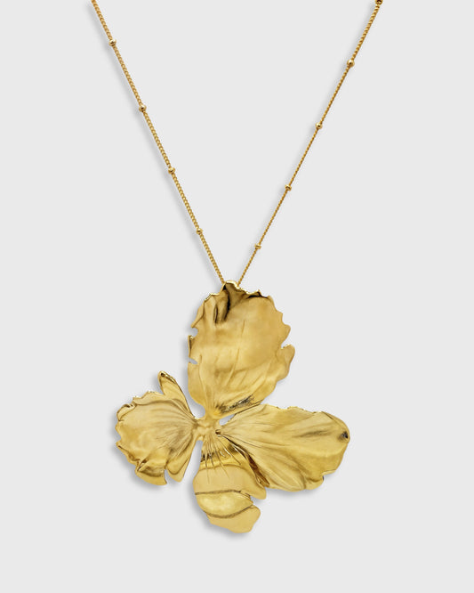 Collier Phos