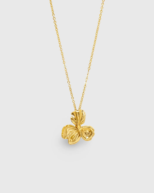 Collier Silane