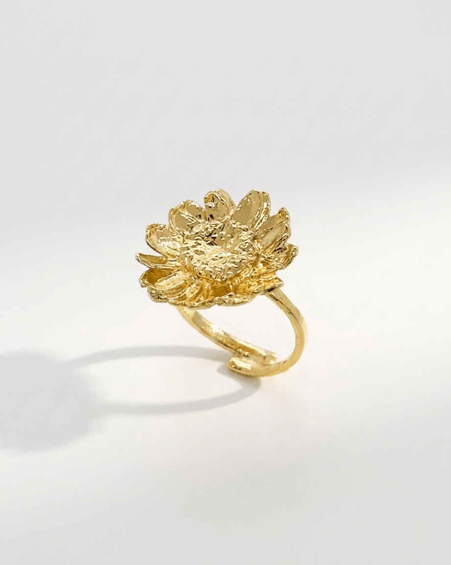 Elise Tsikis Paris Bague Ansou - archive