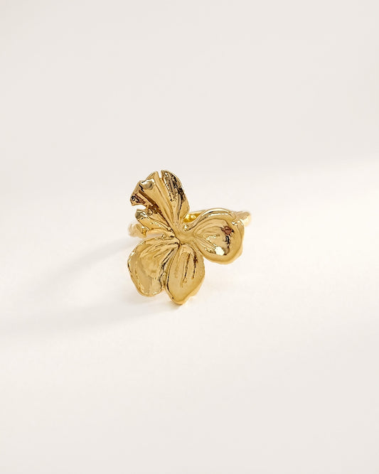 Elise Tsikis Paris Bague de phalange Damy