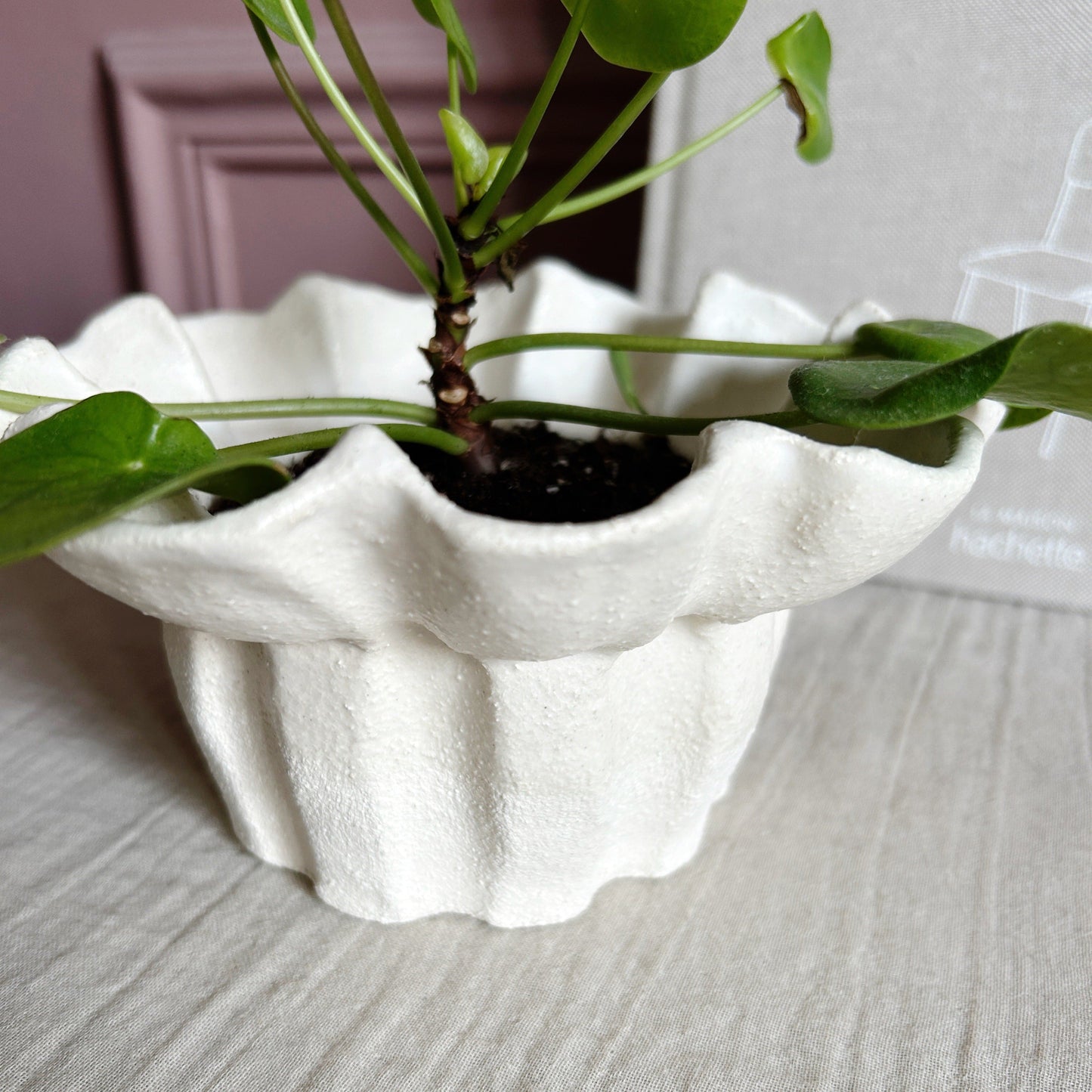 Elise Tsikis Paris Bol Levidi